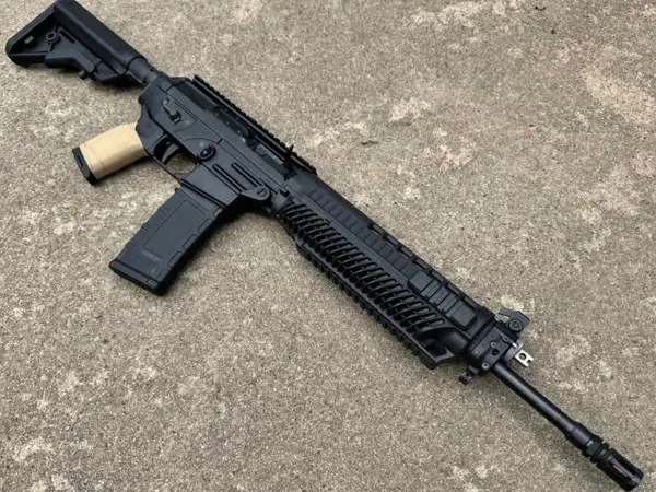 Sig Sauer 556 (Fishgill) 5.56