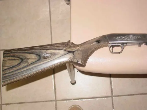 Browning SA22 Stainless takedown rifle