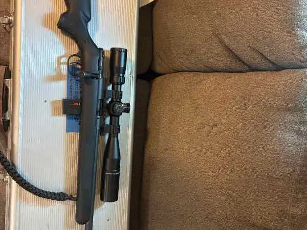 Savage 93R17 and scope