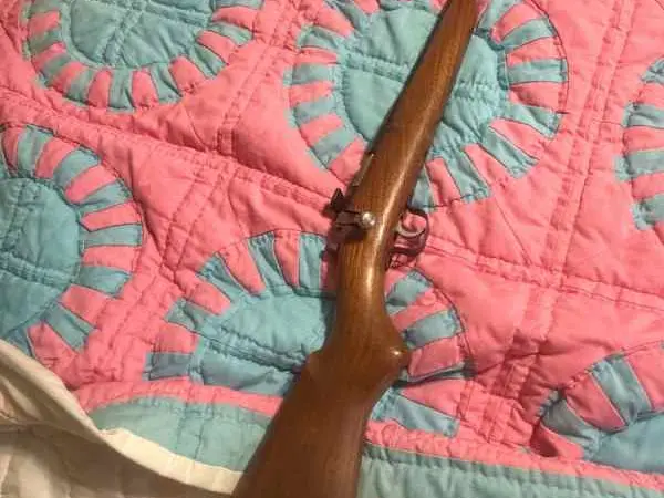 oregon arms .22 LR cricket