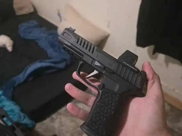 P365 fuse