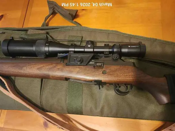 Springfield M1a 'Loaded'