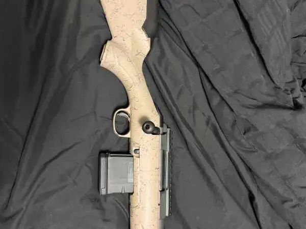 Ruger Ranch 300blk