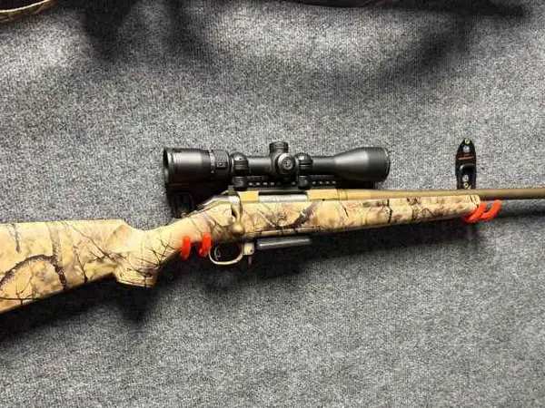 Ruger American .308