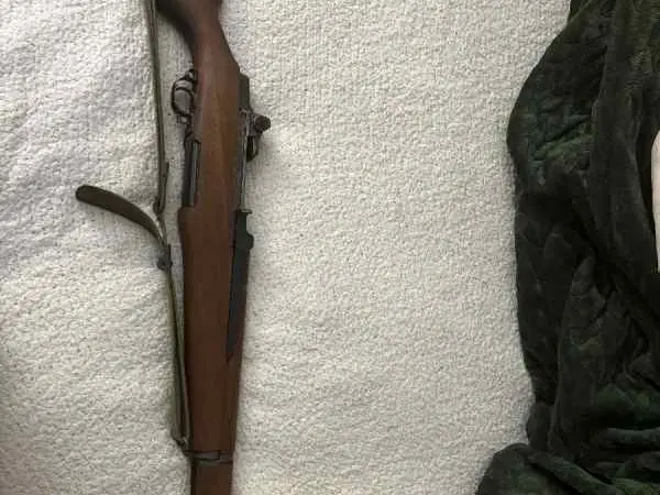 Springfield m1 garand plus ammo