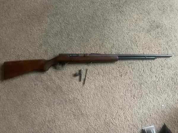 Savage .22 Gunsmith special