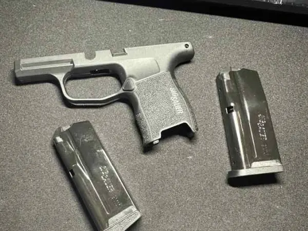 P365 grip module and mags only