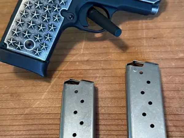 Sig P938 We The People