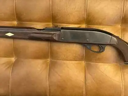 Remington Nylon 66 .22LR