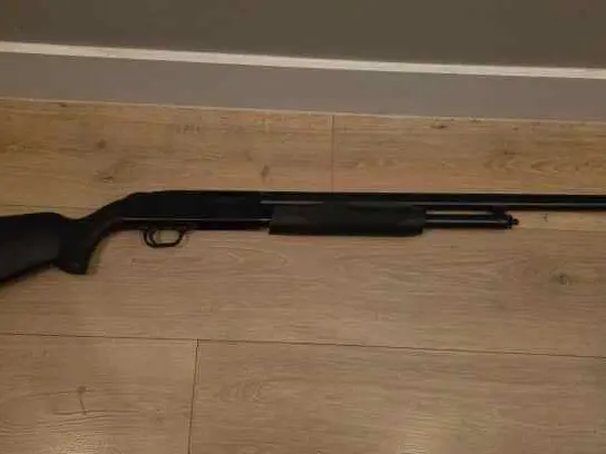 Mossberg 500 20 gauge with some ammo