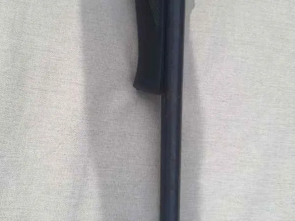 Mossberg plinkster 702 with ammo