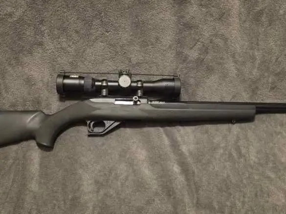 Ruger 10/22