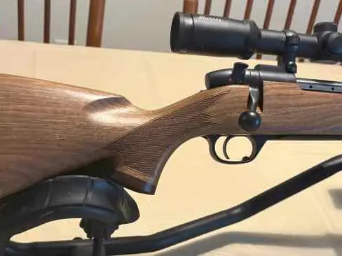 **LOOK** Weatherby Mark V 300 Win Mag