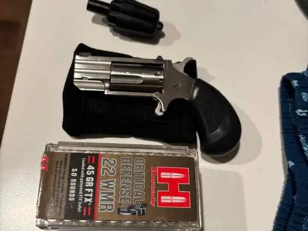 NAA Pug 22 magnum for sale