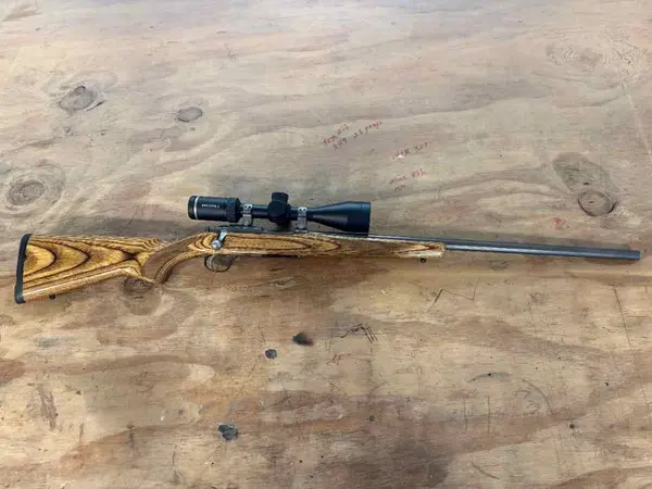 Ruger m77 22 Hornet