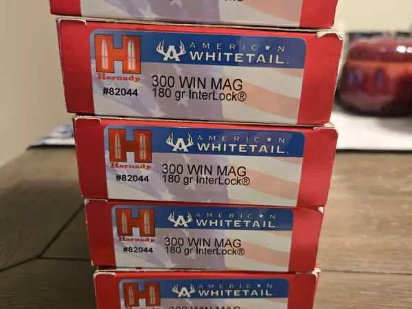 Hornady 300 Winchester Magnum 180 gr Interlock
