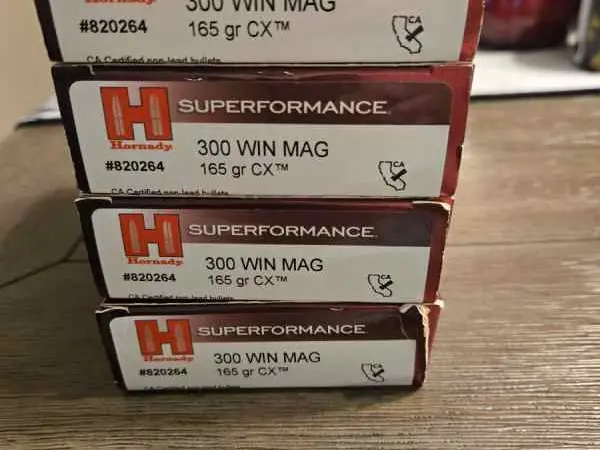 Hornady Superformance 300 Win Mag 165 gr copper