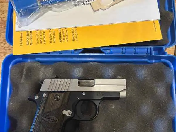 Sig P238 .380