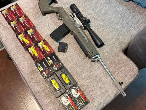 Ruger Mini-14 .223