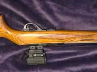 WTS/T Remington 597 with bull barrel and sight OBO