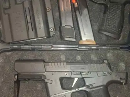 Sig p365 fuse in flux raider chasis