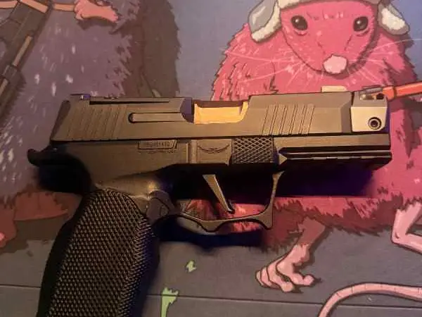 WTT P365 Radian/Icarus build