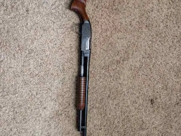 Winchester model 12 cutts comp