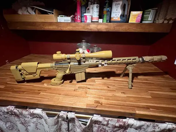 Ruger Precision 308