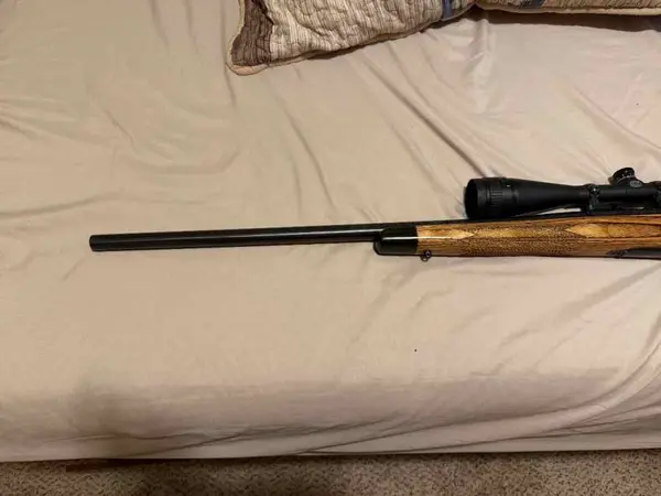 Remington 700 22-250