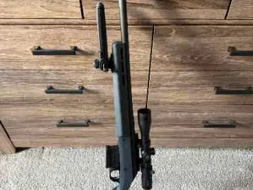 Ruger American Hunter with Leopold Mark 3HD