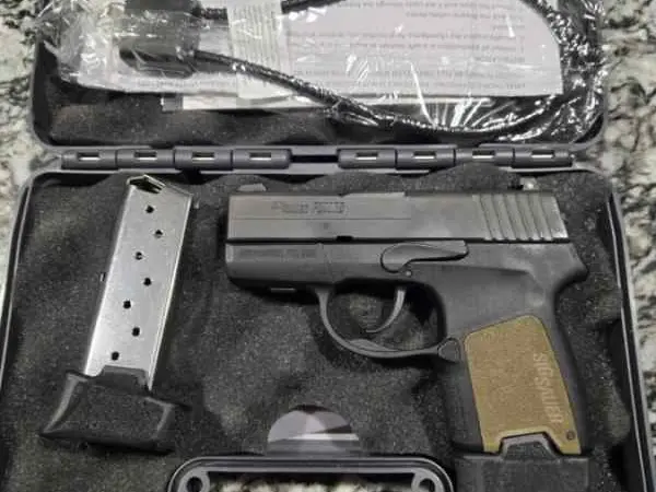 Sig P290RS