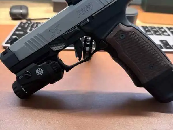 P356 and or M&P 2.0