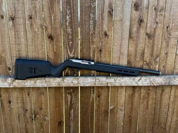 Ruger 10/22