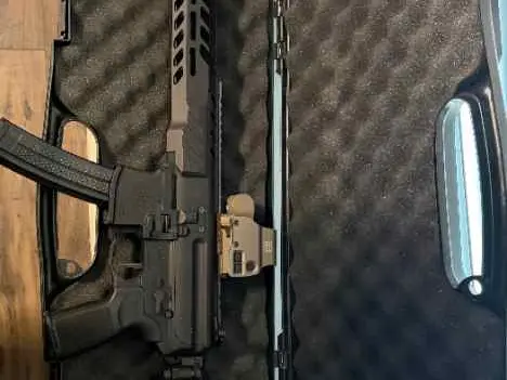 SIG MPX!!