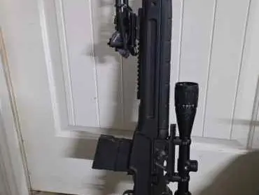 Springfield Armory M1A and CZ Scorpion S1 Plus