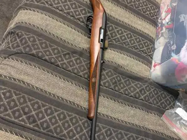 Ruger 10/22