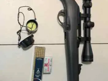 Remington 597 .22