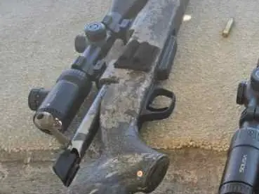 Winchester 6.5 prc with vortex