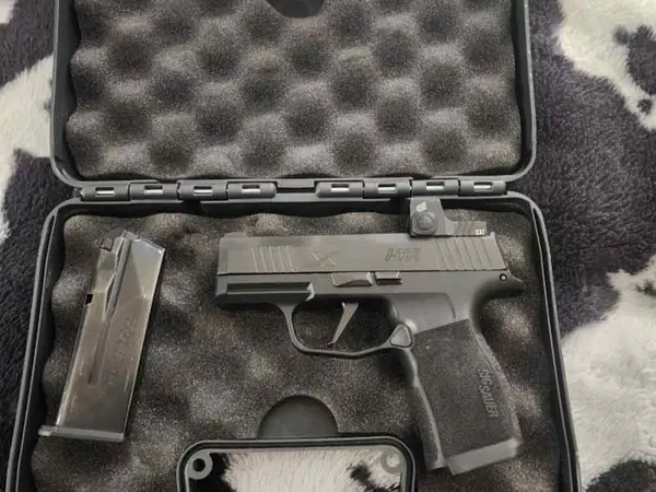 Sig 365X