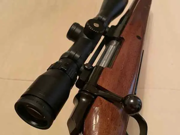 Browning 300 Win Mag w/Bushnell Elite Scope