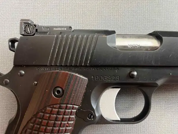 Dan Wesson Bruin 10mm