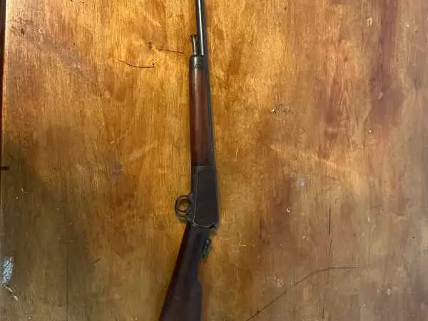 Winchester 03 .22
