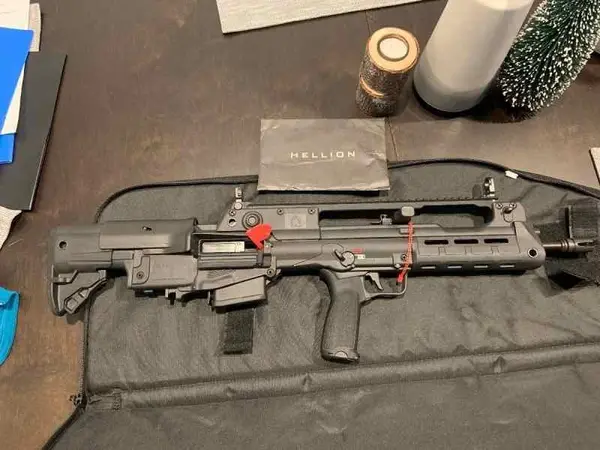 Springfield Hellion 5.56