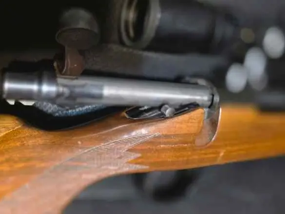 Remington model 700.