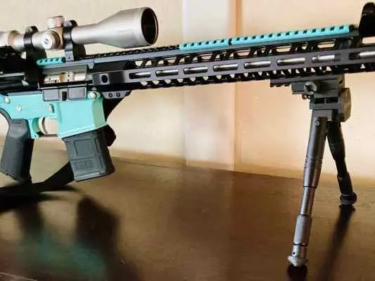 Precision build AR-15