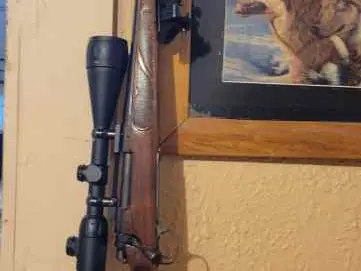 270 remington 700 bdl
