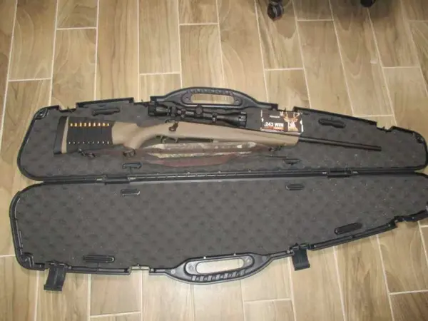 Remington 783 .243 Winchester