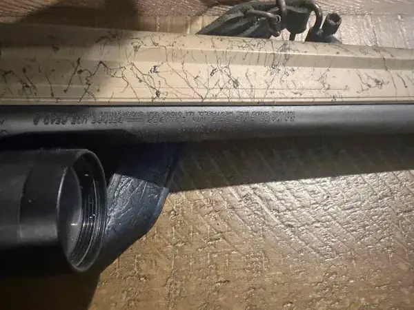 Savage axis 243