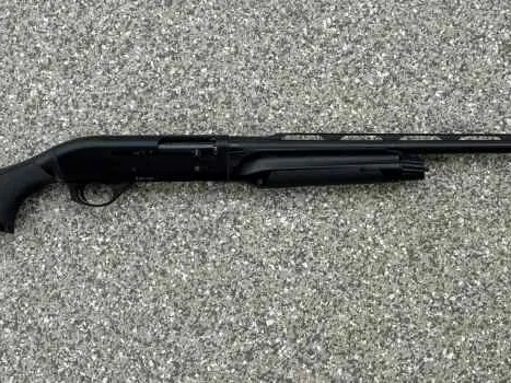 Benelli M2 Field 20 Ga. 26" Black Semi-AutoShotgun