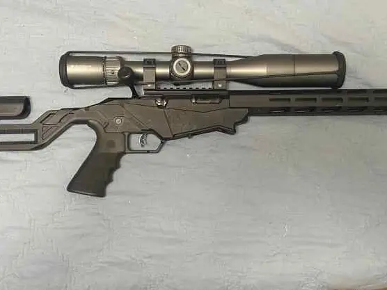 Ruger Precision Rimfire